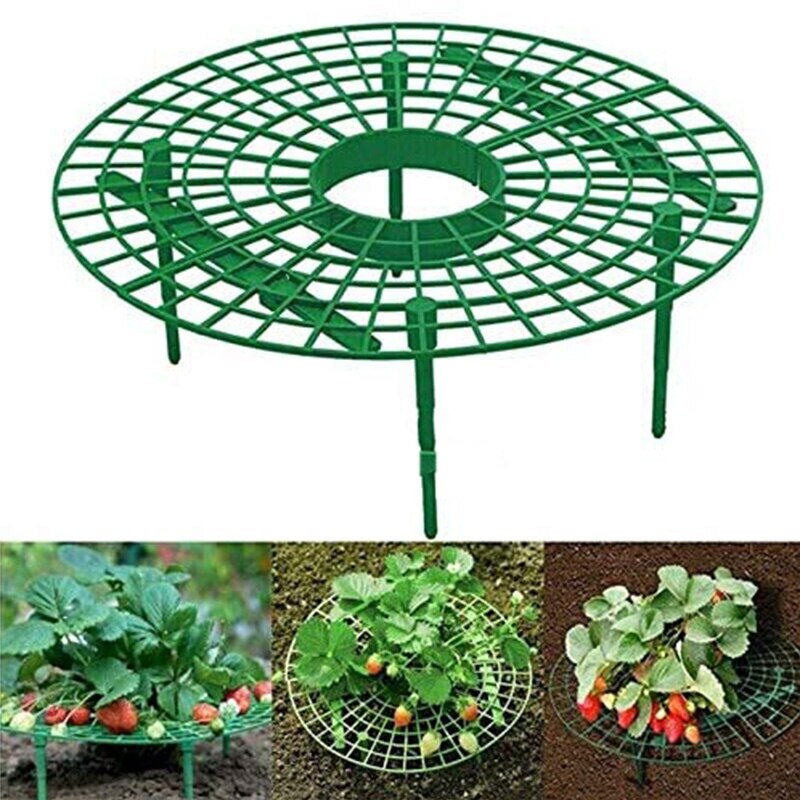 10 stuks aardbeienstandaard balkonbeplantingsrek fruitondersteuning houder bloem klimplant pilaar met plantenklem