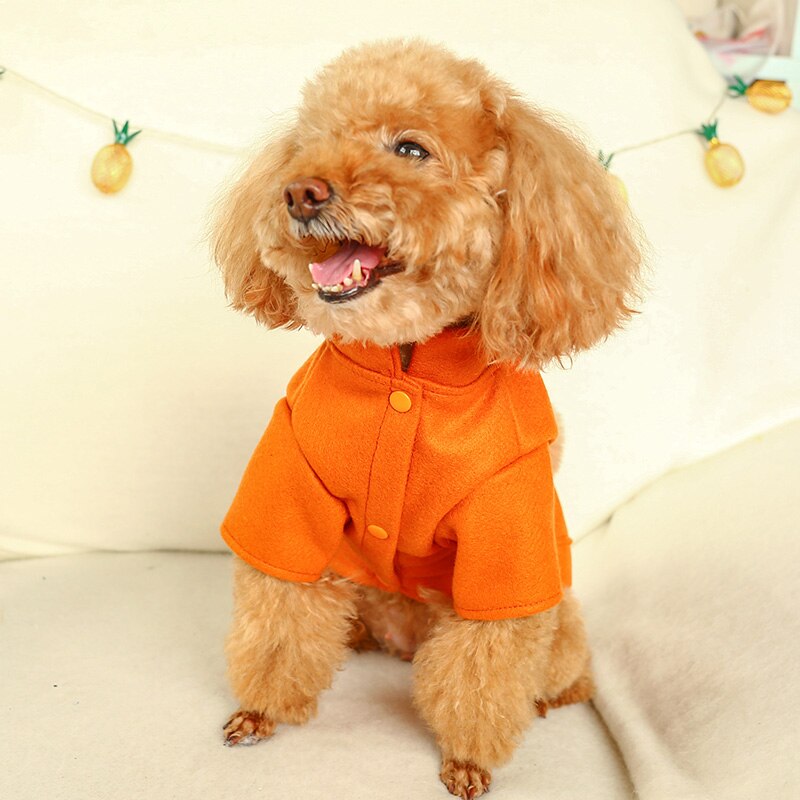 PETCIECLE Huisdier Jurk Teddy Pommeren Bichon Hond Comfortabele Herfst en Winter Herfst Honden Pluche Leeuw Kleding