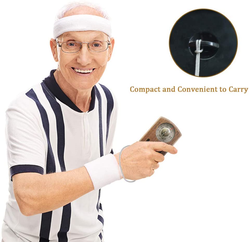 REDAMIGO Solid Wood Digital FM Radio AM Mini linternet Radio Portable FM AM Radio RADR917+