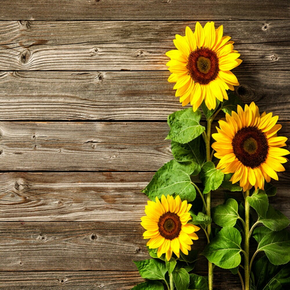 Retro Wood Plank Board Photo Backdrop Photography Studio Background Cloth Screen: 10