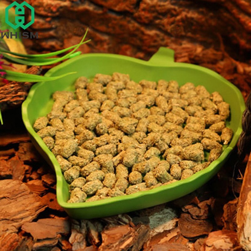 Picture of Reptile Food Dish Small Bowl Pet Water Feeder Tort... – Grandado