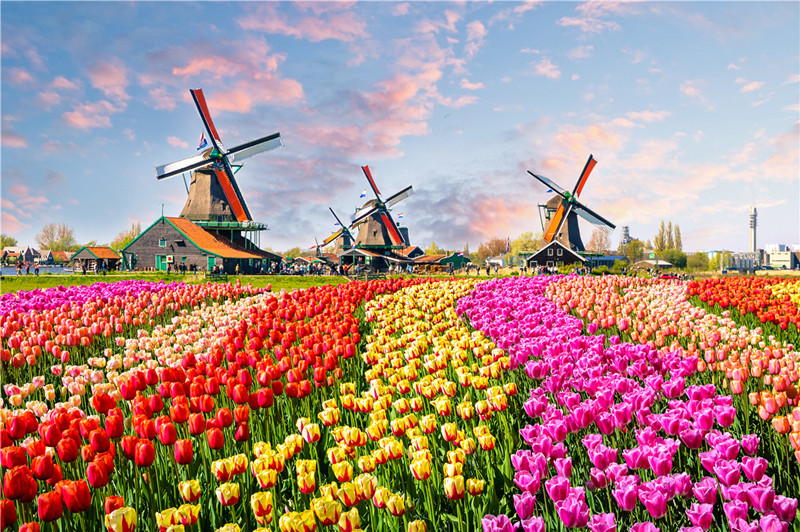 500 pièces Puzzle diverses paysages assemblage photo adultes Anti-Stress Puzzles jouets pour enfants jeux de noël