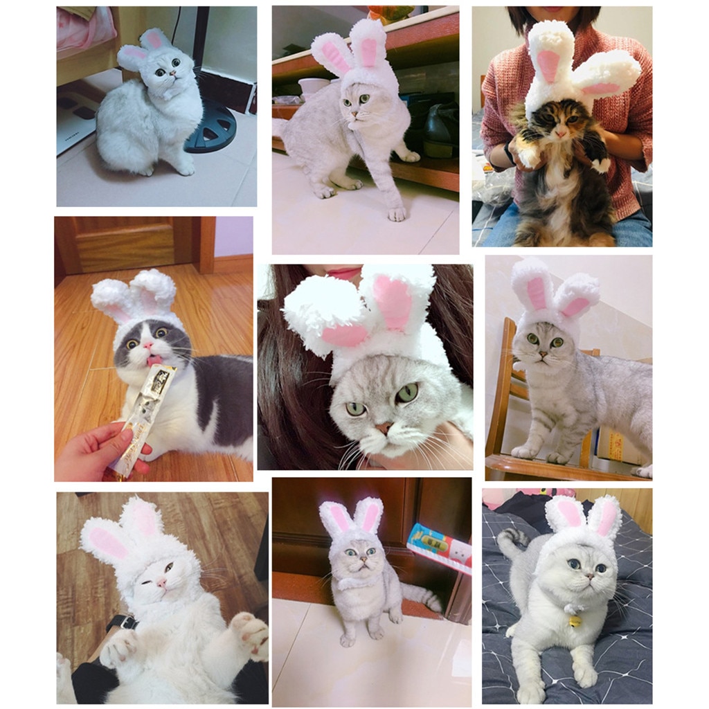 Cat Clothes Costume Bunny Rabbit Ears Hat Pet Cat Cosplay Clothes For Cat Costumes Small Dogs Kitten Party Costume pet products