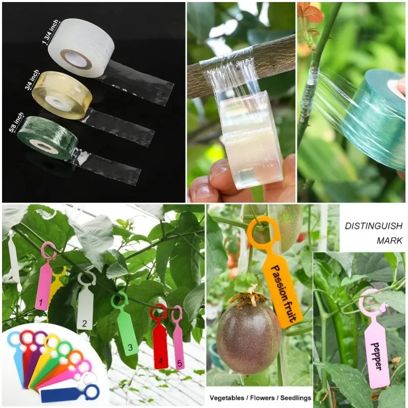 Kit d'Outils de Greffage 2 en 1, Sécateur de Jardin avec Remplacement de Branches de Plantes, de Vigne, d'Arbres Fruitiers, Analyste d'Outils de Coupe, Ciseaux