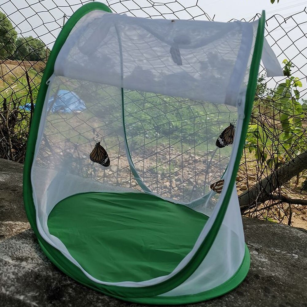 Filet d&#39;observation respirant pour animaux de compagnie, Cage à insectes, incubateur de semis, fermeture à glissière, enceinte pliable