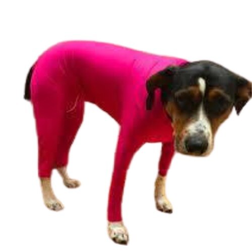 Große hunde, dünne kleidung, all-inclusive-vierbeiner-body, hauspyjama für hündinnen, stillen, absetzen, sterilisation, haustierkleidung: Rosa / M
