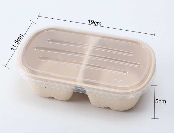 10 PCS Bento Box Eco-Friendly Lunch Box Food Container Disposable Pulp Microwavable Dinnerware Home Healthy Material Lunch Box: Silver / 20pcs