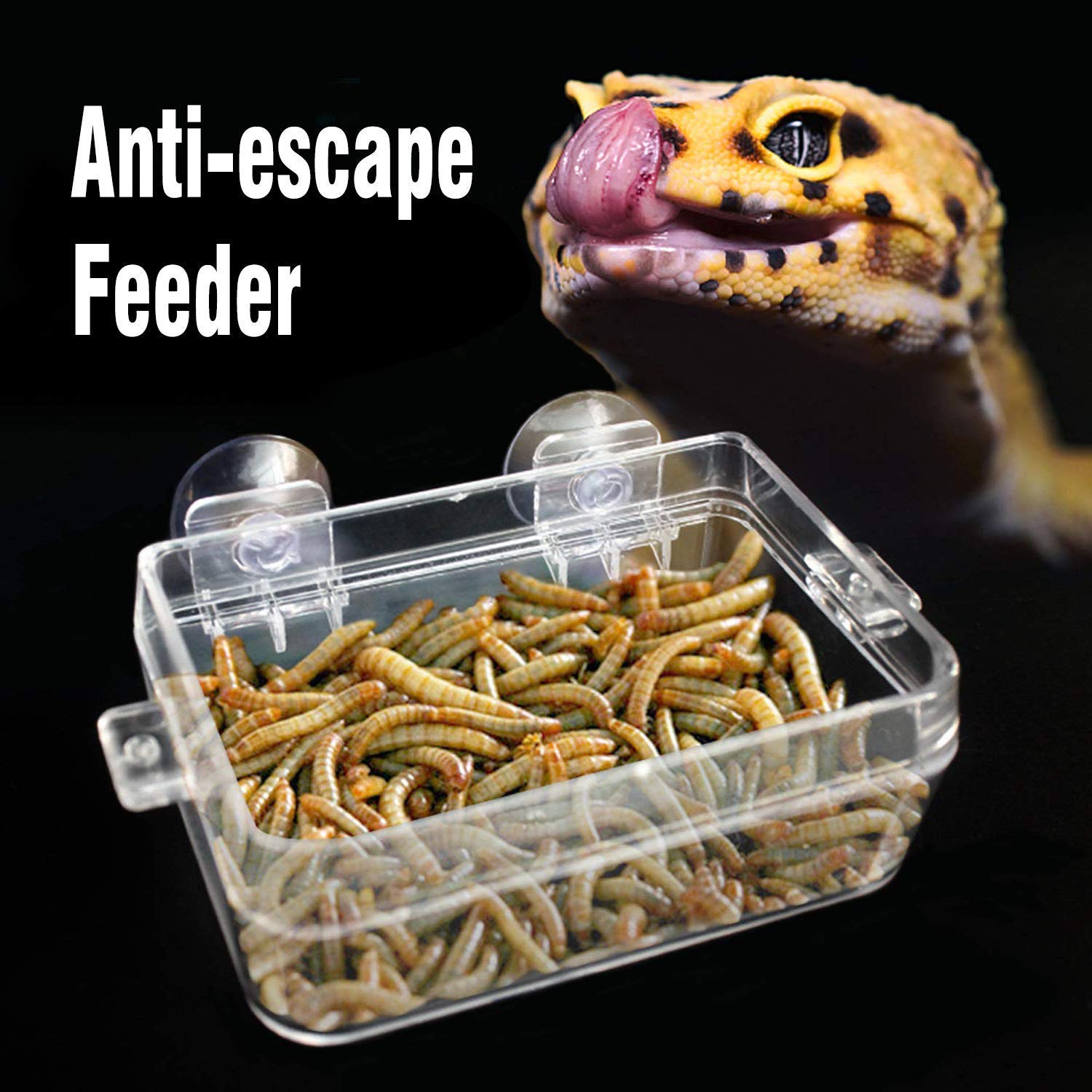 Comedero de reptiles cuenco de comida Anti-Escape con ventosa para tortuga Gecko culebras camaleón Iguana lagartija Accesorios