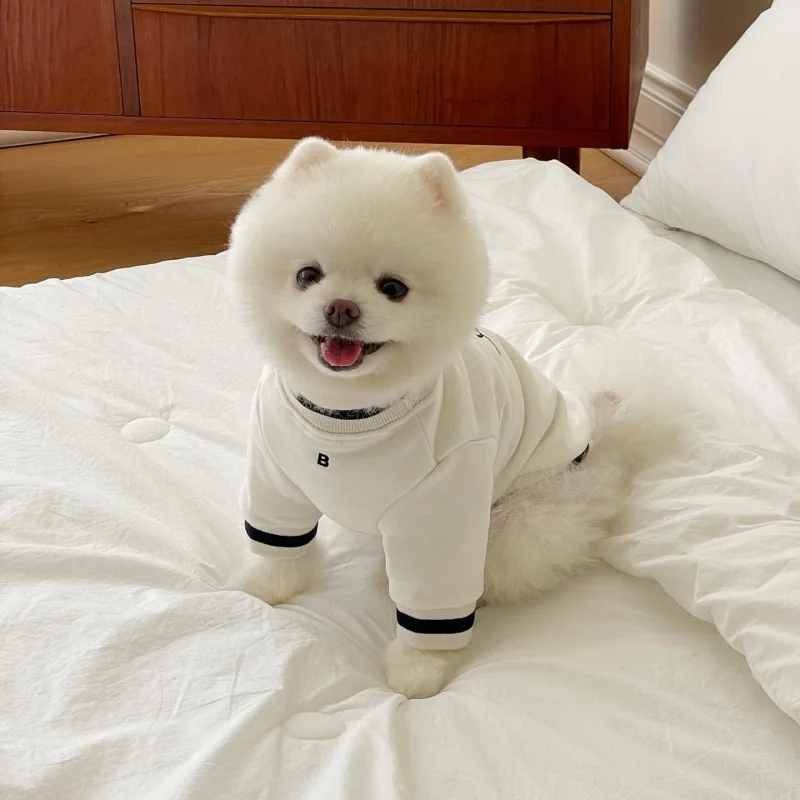 Haft dla zwierząt i aksamitna jesienno-zimowa bluza z kapturem z okrągłym dekoltem dla psów Pomeranians Teddy Bears Small Dogs Cats Pet Clothes: S / Black