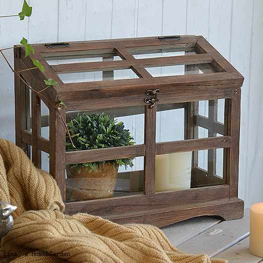 Mini serre vintage, artisanal avec cadre en bois brun antique, panneau en verre