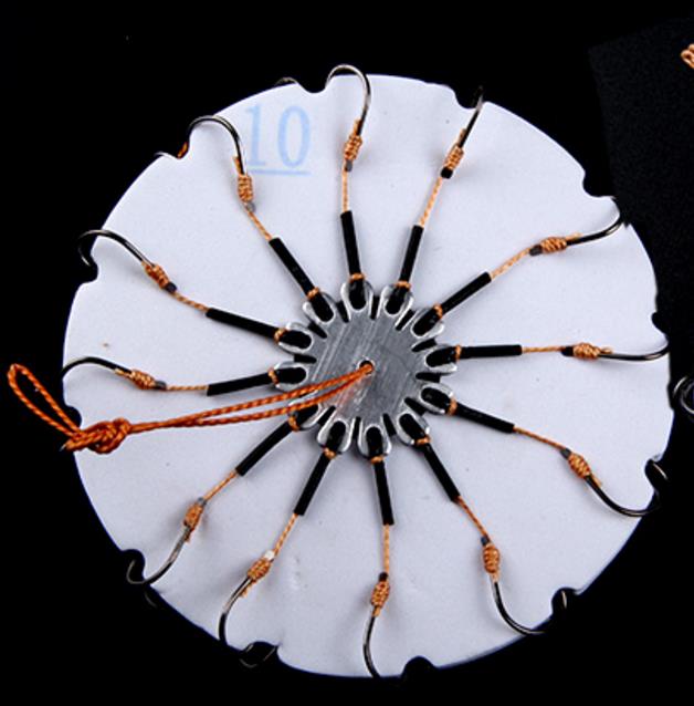 2 Teile/los High Carbon Stahl Sharp Explosion Haken Angelgerät Spinne Haken Set Karpfen Angelhaken Angeln Tackle Zubehör: 12 Hooks / 11