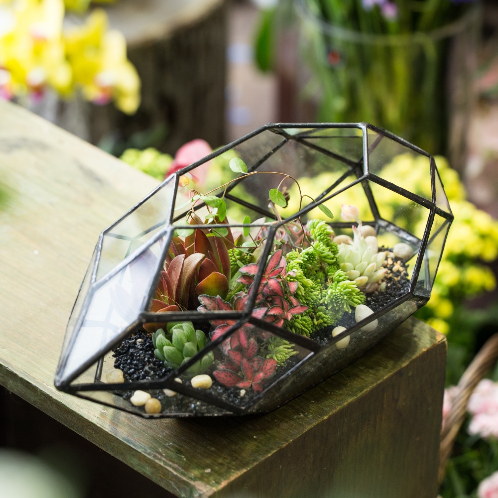 De cristal moderno de pote de flor grande Irregular poliédrico terrario geométrico de cristal linterna suculentas maceta para plantas 11 pulgadas de altura