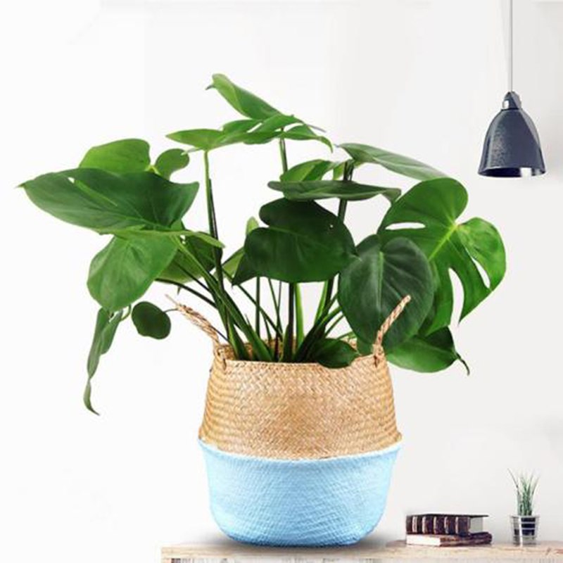 Cesta de mimbre de paja para la colada, cesto plegable de mimbre, florero para el hogar, jardín, cesta colgante, boda: Azul