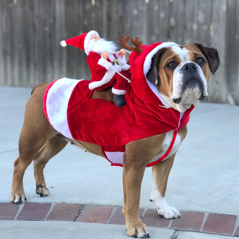 Ropa navideña para perro lindo Papá Noel abrigo en forma con capucha disfraz de perro chaqueta de invierno cálida para mascotas pequeñas, medianas y grandes