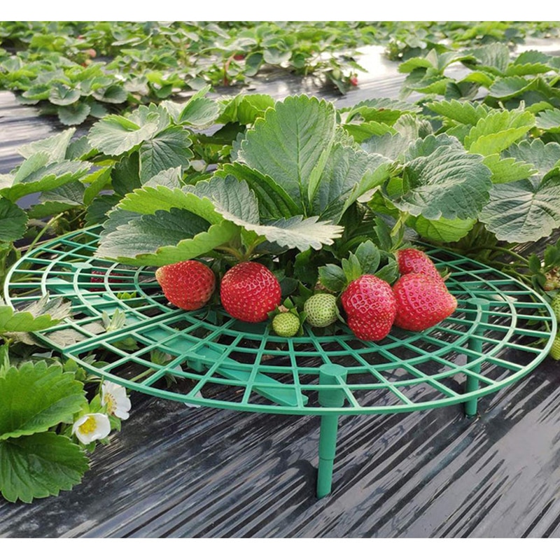 Støttestativ til dyrkning af jordbær i plast blomst søjle plante vegetabilsk klatring vin rekvisitter til havearbejde tilbehør