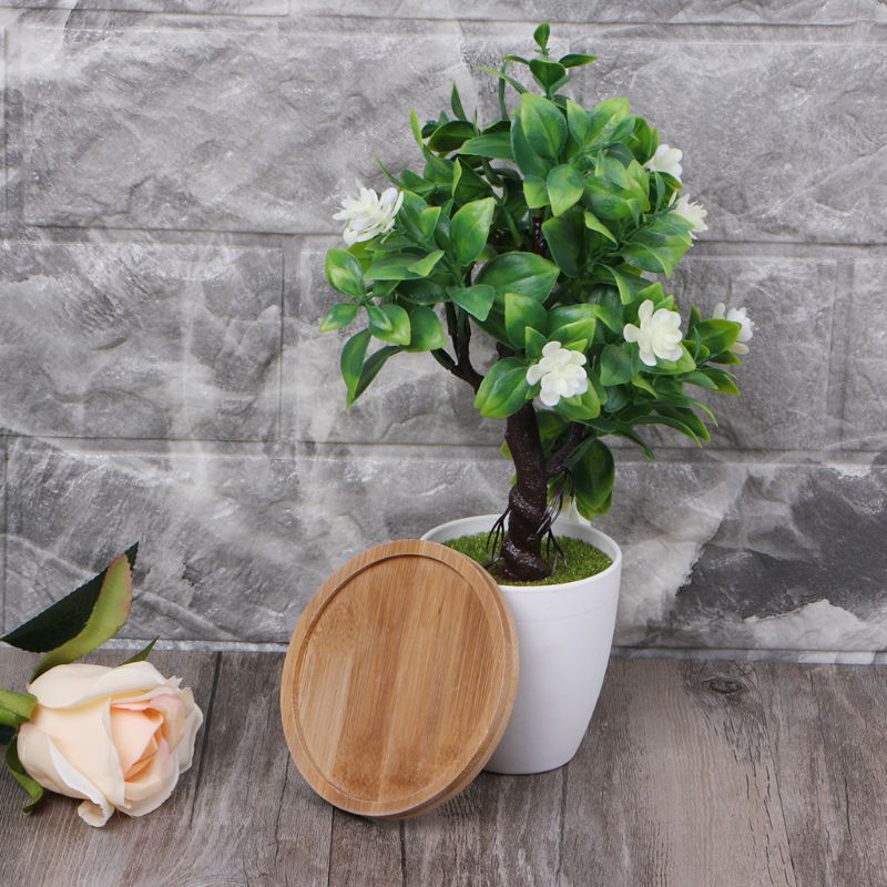 Rond bambou bois soucoupe plante plateau Mini plante Pot de fleur support faveur Succulent Pot plateau Simple maison balcon déco