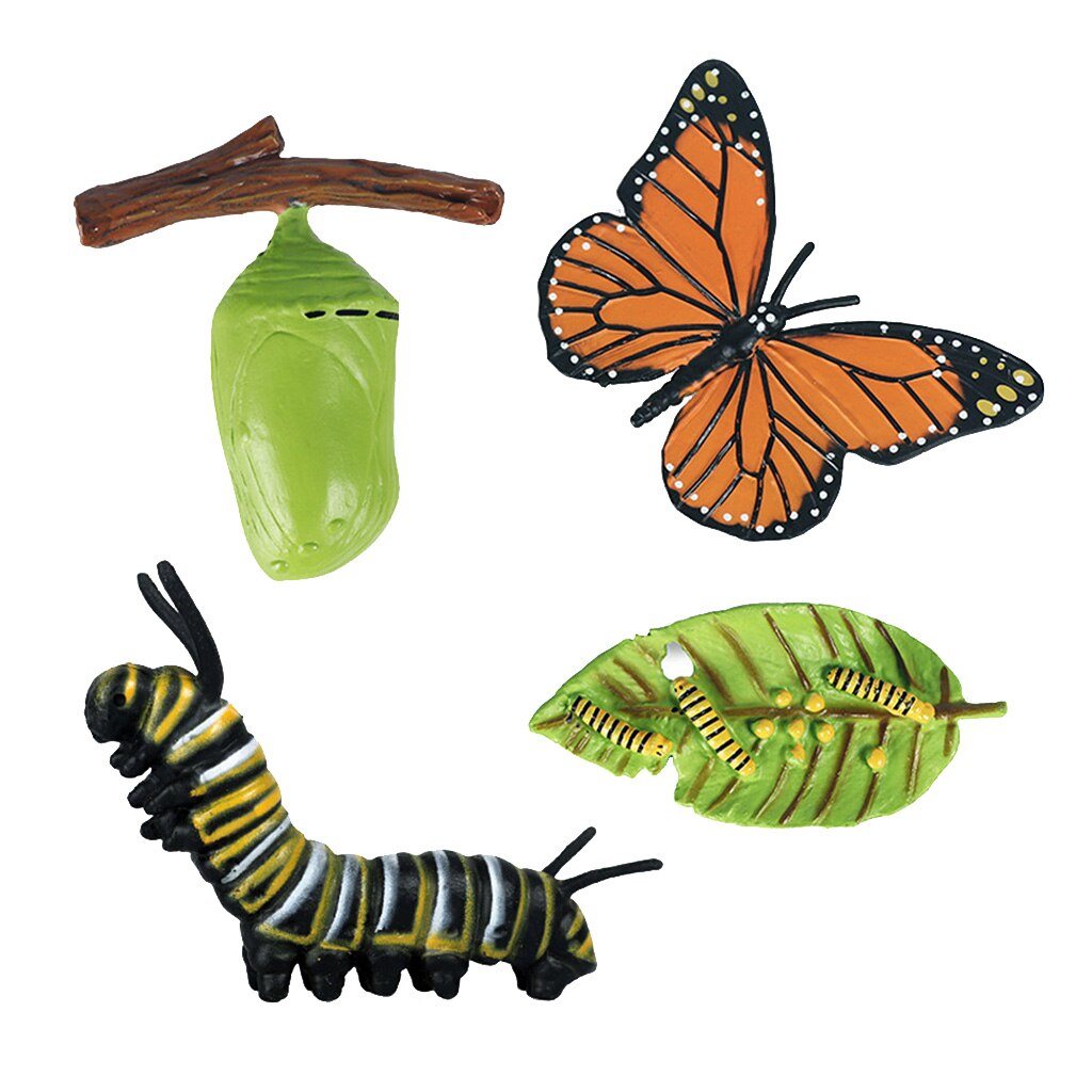 Nature Butterfly Life Cycle Stages Insect Growth Figures Playset Pre-school Early Education Learning Toys for Kids Toddlers