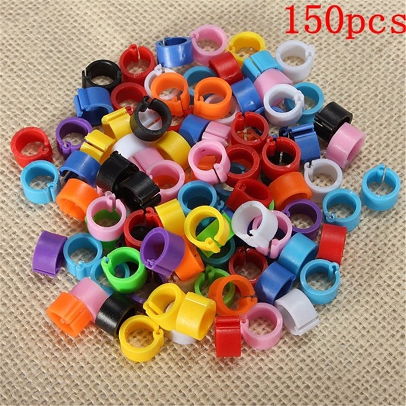 10mm Multicolor Chicken Leg Bands Plastic Chicken Poultry Leg Rings PigeonGeese Quail Bird Ring Carry Tool Feeding Logo 150Pcs: Default Title