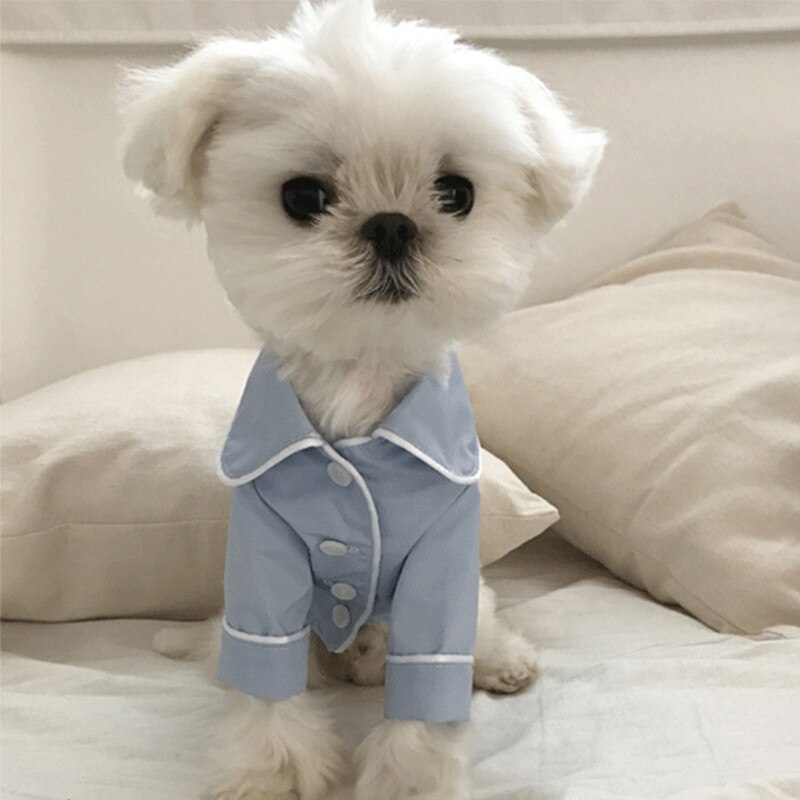 French Style Pet Pajamas Dog Clothes Shirt Jumpsuit for Teddy Chihuahua: blue / XL