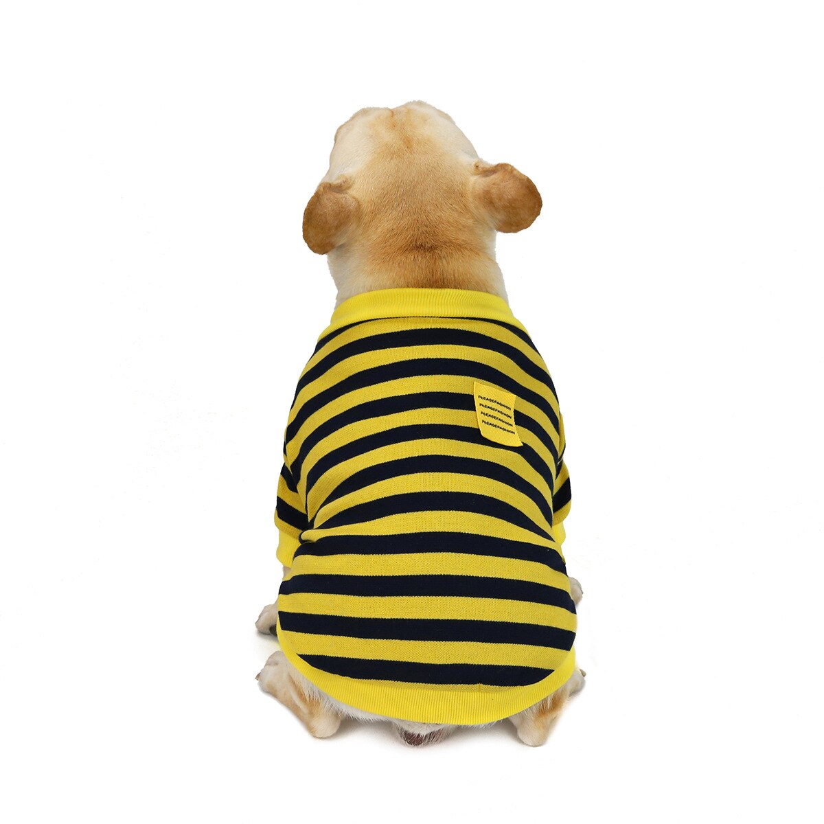 Ropa de perro francés ropa para bulldog mascota sudadera otoño invierno abrigo para mascota traje Casual ropa de perro pequeña chaqueta para perros: Amarillo / XXL