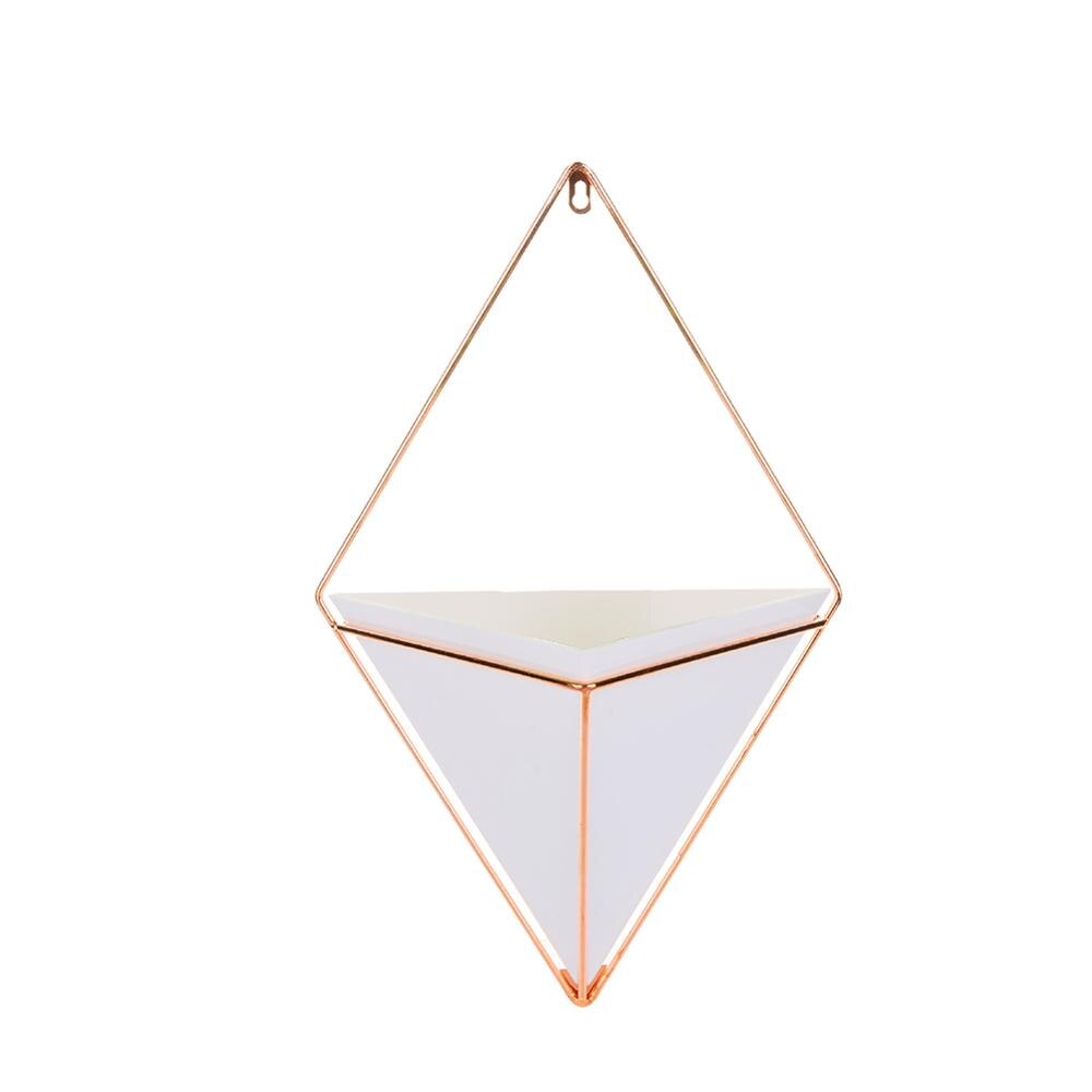 Acrilico Vaso di Fiori di Ferro Flora Hanging Planter Geometrica Vaso di Decorazione Della Parete 35DC19: WHITE