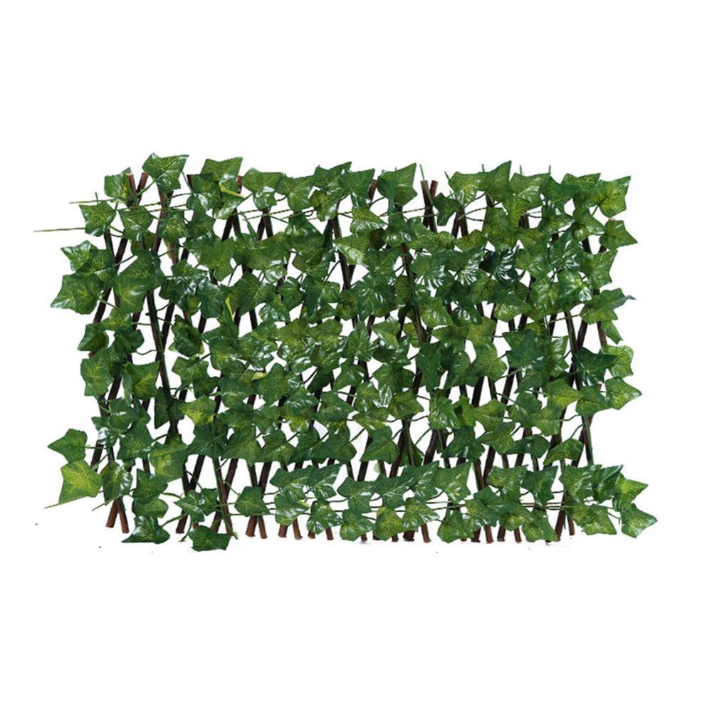 dracaena concinna Dracaena marginata 14" Staggered