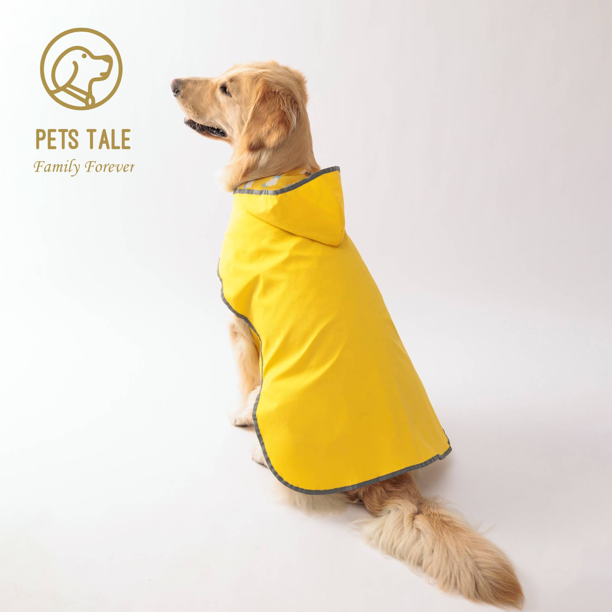 All Weather Dog Raincoat: Dual-sided Waterproof Coat with Polyester Fiber PU Coating and Quick-Adjust Velcro Closure: M / Yellow