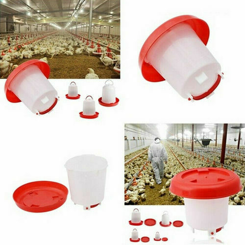 Plastic Kip Kwartel Gevogelte Kip Drinker Voedsel Feeder Kip Drinker Chick Kip Bantam Voedsel Water Accessoires Tool