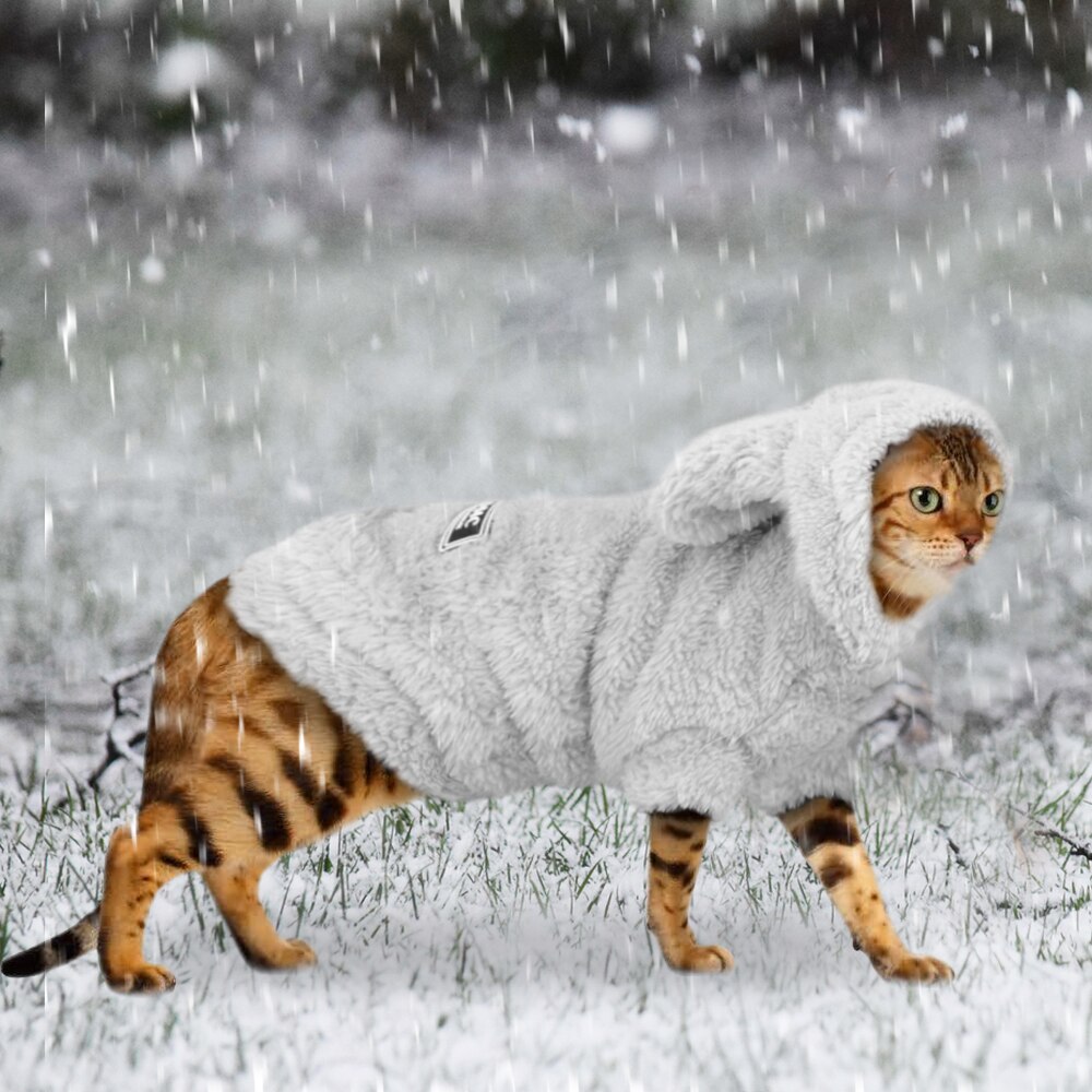 Søde kat tøj fleece vinter hvalp kæledyr frakke killing hættetrøje varme hunde tøj til små hunde chihuahua yorkshire kat kostume