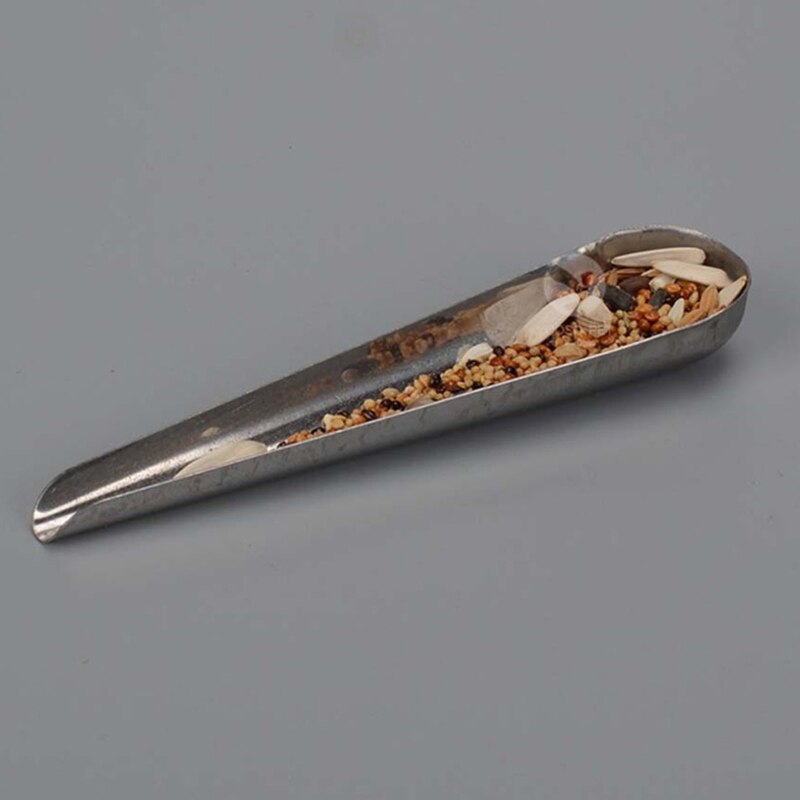 Bird Pointed Seed Dispenser Feeding Spoon Stainless Steel Parrot Feeder Seed Container for Bird Peony Cockatiel Feeding