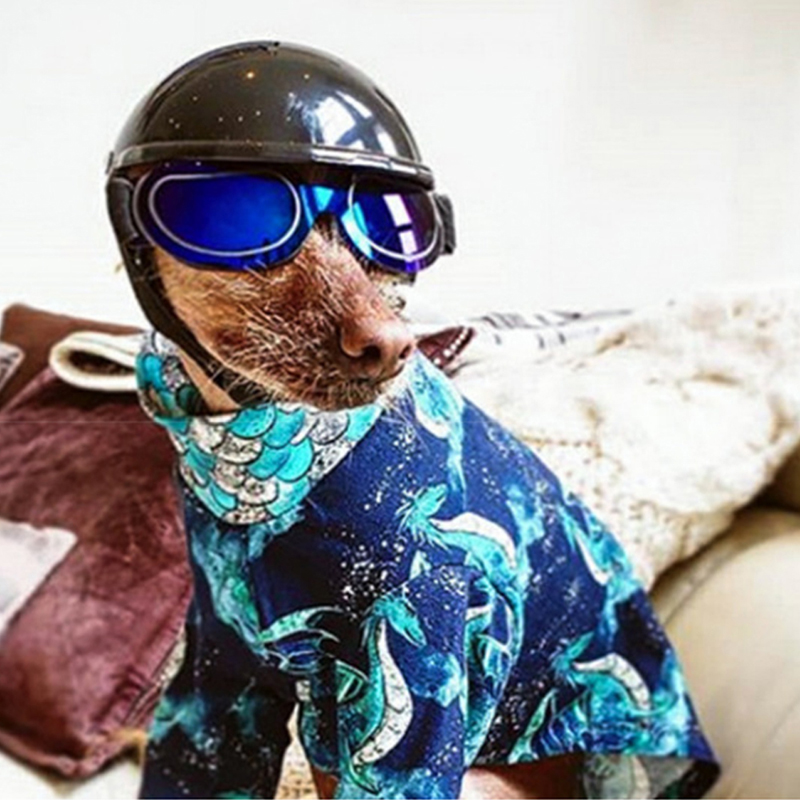 gorro perro casco moto casco perro accesorios perros Casco con gafas de sol para mascotas, protección para la cabeza para gatos, perros y cachorros