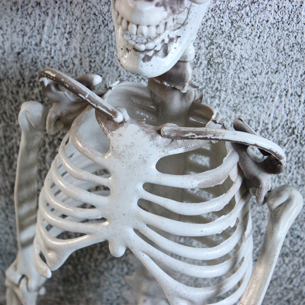 Halloween Menselijk Skelet Model Anatomie Skelet Schedel Partij Decoratie Anatomisch Skelet Horror Art Schets