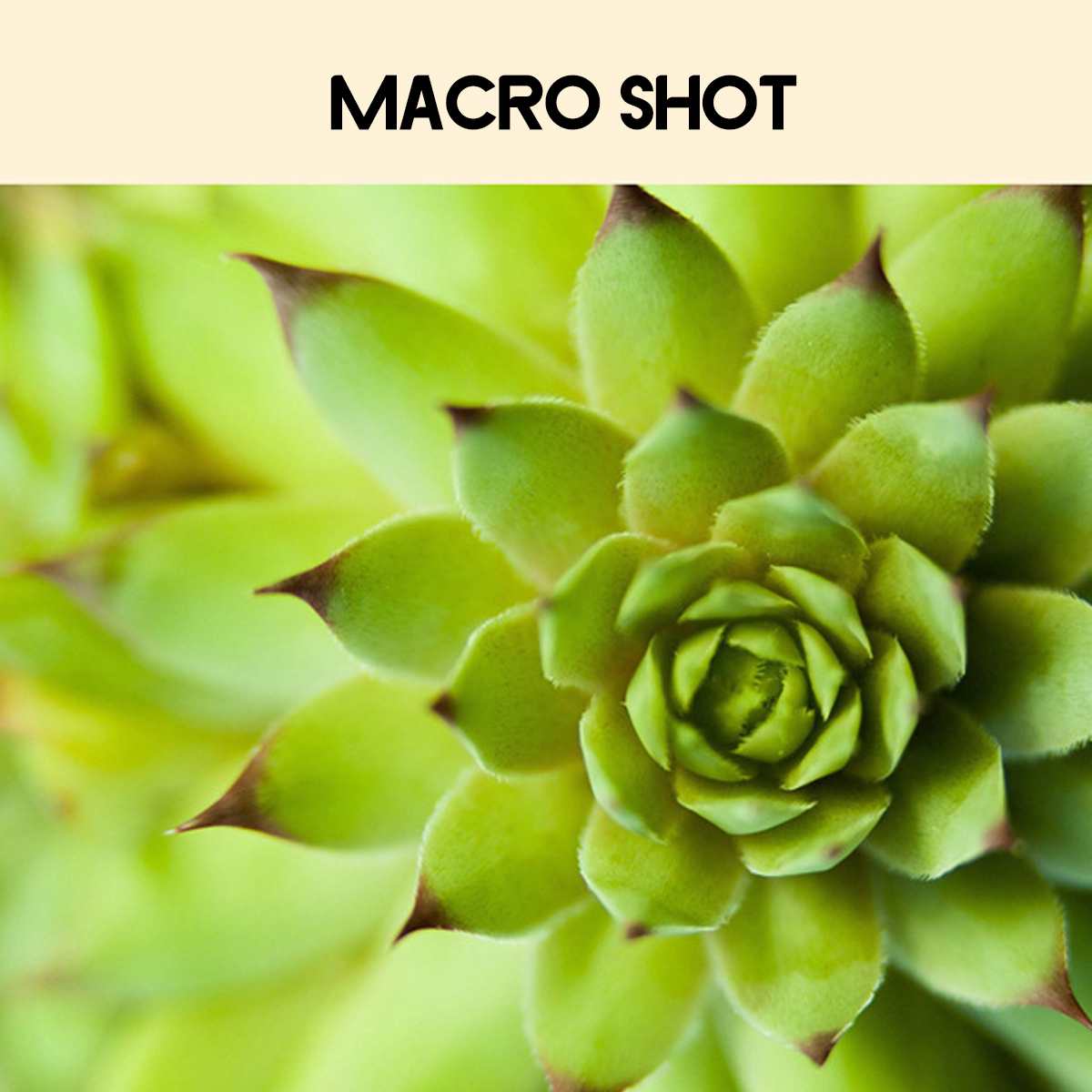 1080P HD camcorder video camera night vision 2.4 in LCD screen Camera 16X digital zoom camera with microphone