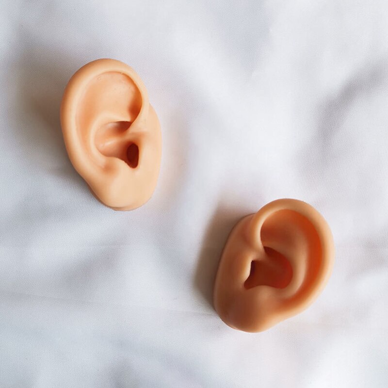 Silicone oreille modèle artificiel oreille humaine affichage pour l'audition écouteurs pratique Piercing boutique fenêtre montrant des bijoux de corps