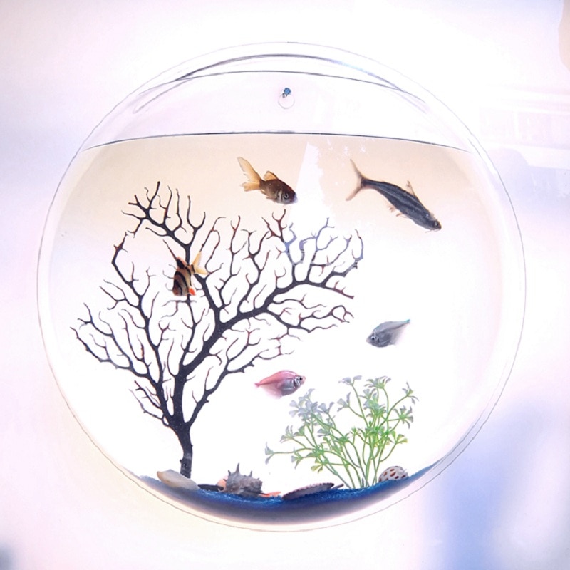 Pinsjar Acrylic Fish Bowl Wall Hanging Aquarium Tank Aquatic Pet Supplies Pet Products Wall Mount Fish Tank for Betta Fish