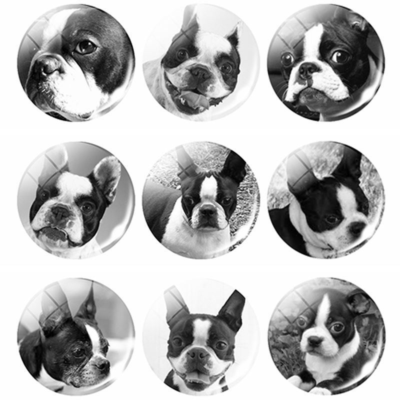 1pc Bulldog de Metal de Color plata Pulsera Retro Animal perro Cabochon de vidrio de bisutería con de barras brazalete de las mujeres accesorios