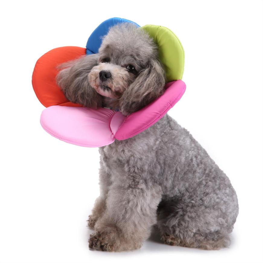 ISHOWTIENDA collier de chien chat | Animal de compagnie, évasé chien, blessure réglable, guérison, collier E cône doux, intelligent, prévenir la morsure, joli 0503