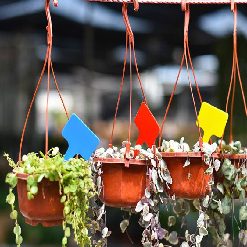 L 10cm W 5cm W stylu T etykiety roślin znaczniki roślin etykieta robić roślin etykiety ogrodowe naczynia z tworzywa sztucznego dla sadzonek 100 sztuk/partia darmowa wysyłka