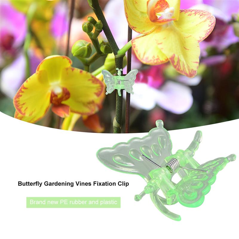 30 stk. sommerfugl orkide podning klip haven blomster vin faste klemmer havearbejde bonsai klips plante støtte klips