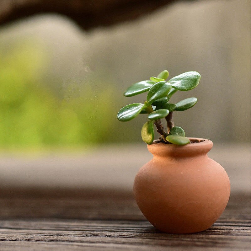 Small Mini Terracotta Flowers Pot Clay Ceramic Pottery Succulent Cactus Nursery Planter Pot Home Desktop Decor 10Pcs YYY9812