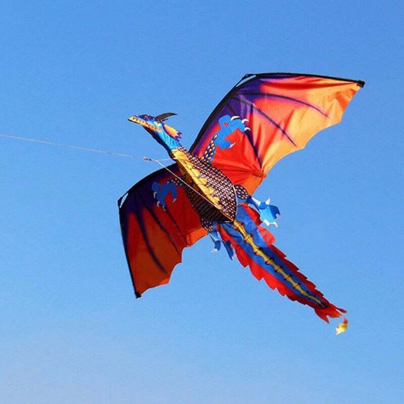 Kinderen buiten enorm grappig 3d draken vlieger vliegen lange staart luchtlijn touw: Default Title