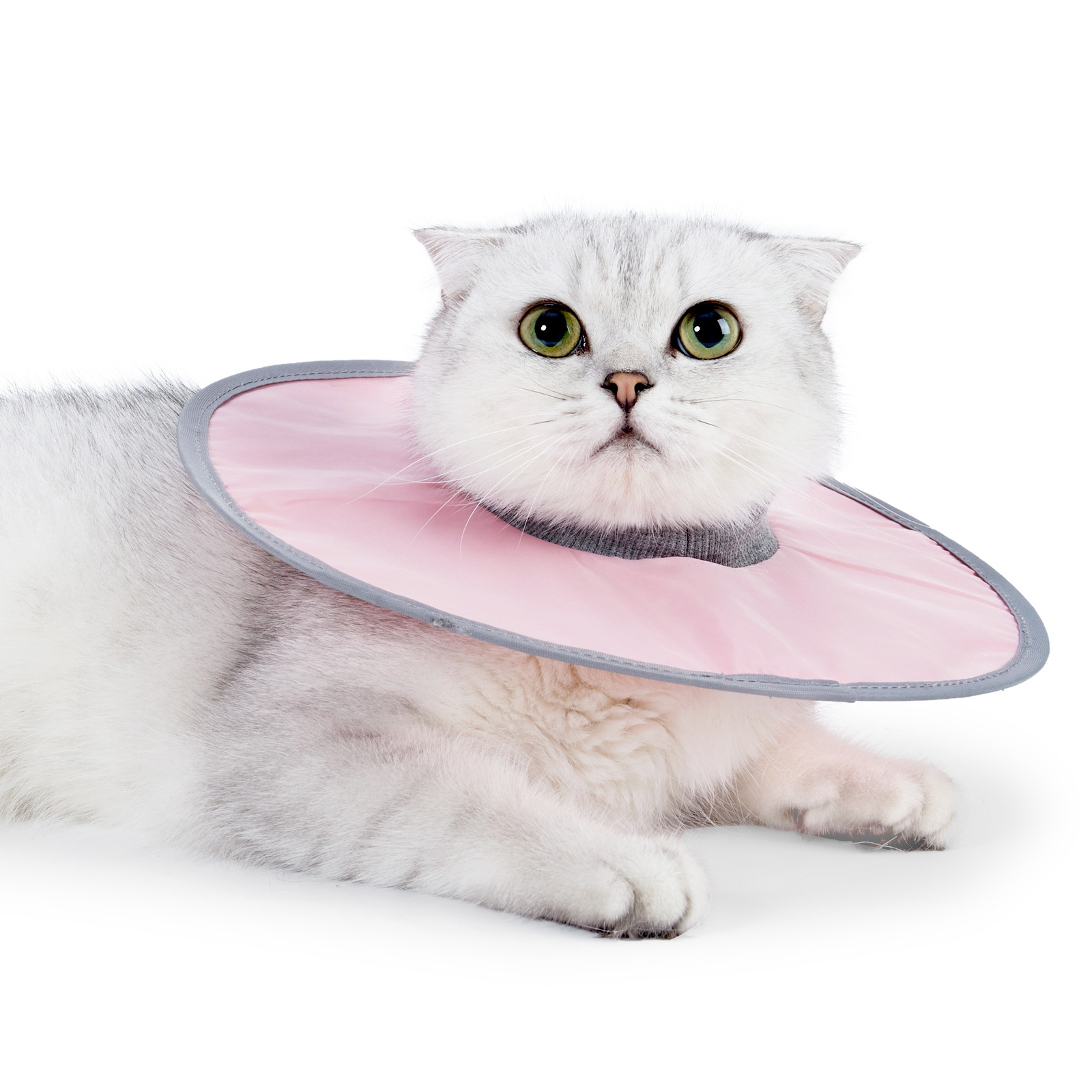 Coleira de cone de gato ajustável, coleira de recuperação de gato após cirurgia, cura de feridas, pescoço de gato, coleira elisabetana para gato gatinho: M / MULTICOLOR