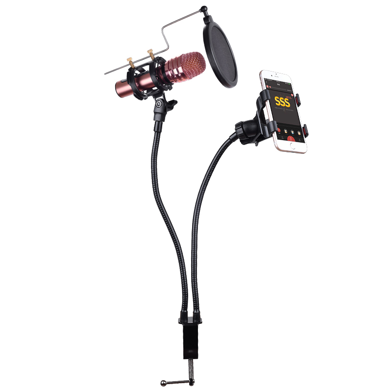 Support de Microphone et téléphone 3 en 1, avec filtre, Long bras Flexible réglable à 360 degrés