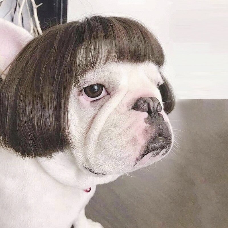 Pelucas para mascotas, accesorios de Cosplay divertidos para perros y gatos, sombrero de pelo de peluquería cruzada, disfraces, accesorios para la cabeza, suministros para mascotas de Navidad