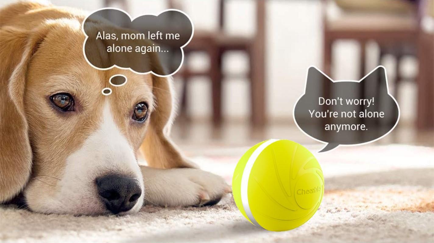 Wicked Ball - Interactive Toy for Dog and Cat - Yellow