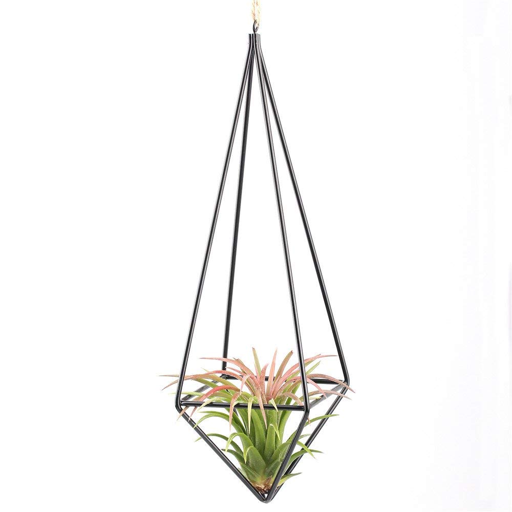 Modern Rustic Art Style Freestanding Hanging iron Tillandsia Air Plant Rack Holder Black 10.2 Inches Height Quadrilateral Pyra