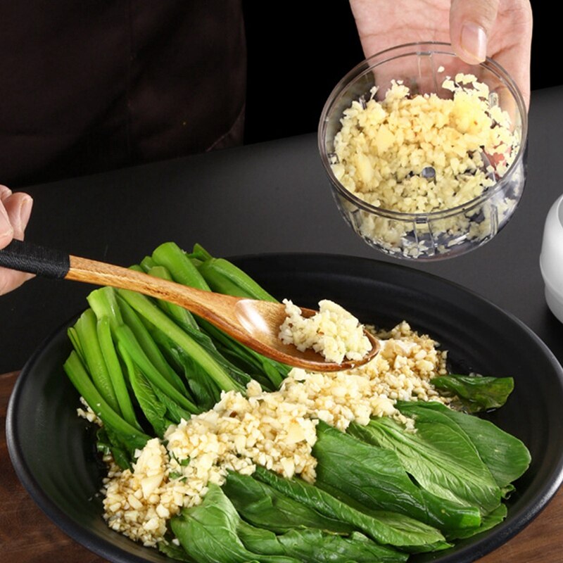 Electric Mini Garlic Chopper,Food Slicer&Chopper,Portable Blender Food Processor,for Chili/Vegetable/Nuts/Meat 250 Ml
