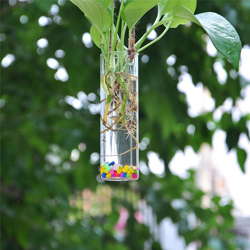 Vase en boule de verre suspendu, pot de fleur, récipient de Terrarium, décoration pour fête et mariage