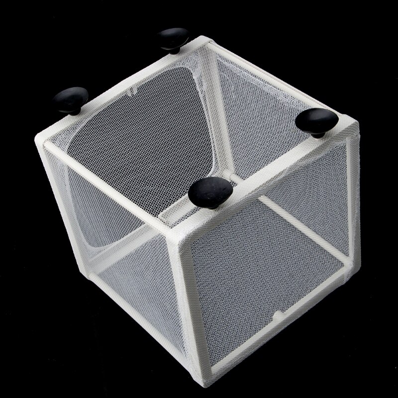 Aquarium Aquarium Guppy élevage éleveur poisson bébé gaze piège boîte isolateur S/L P0RE