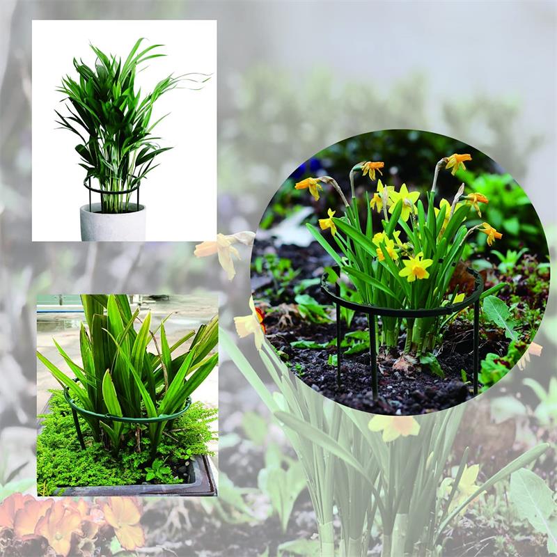 6pc plast plante støtte stabel stativ til blomster halvcirkel drivhus arrangement fastgørelse stang holder frugthave have bonsai værktøj